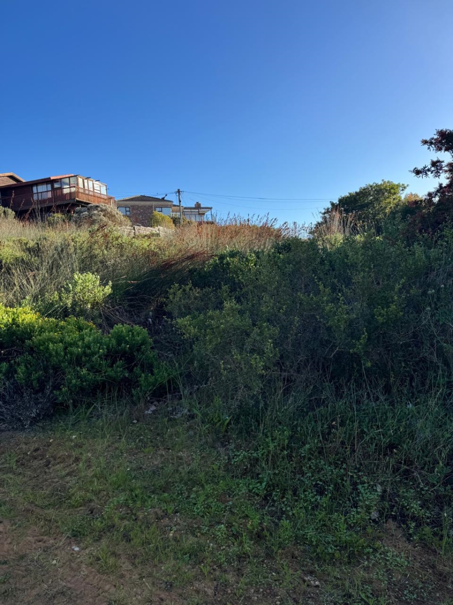 0 Bedroom Property for Sale in Stilbaai Wes Western Cape